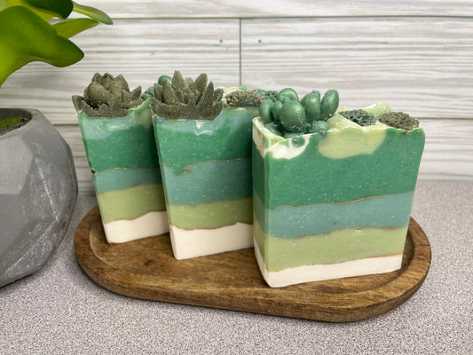 Succulent Dream