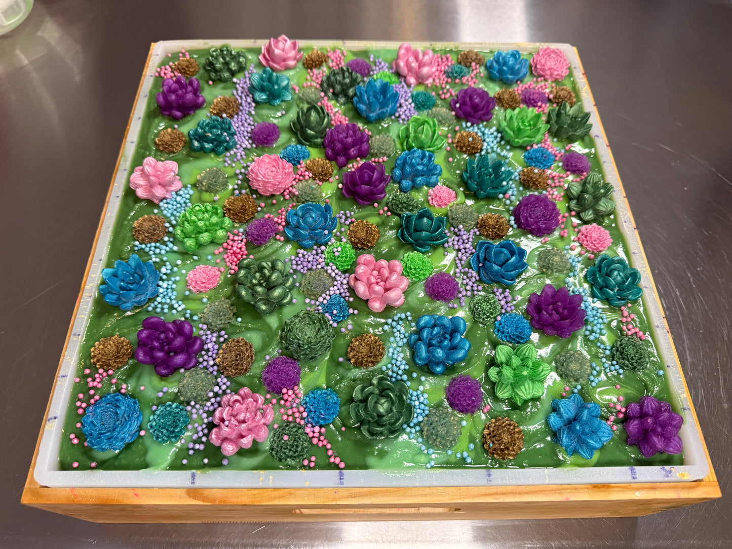 Succulent Dream